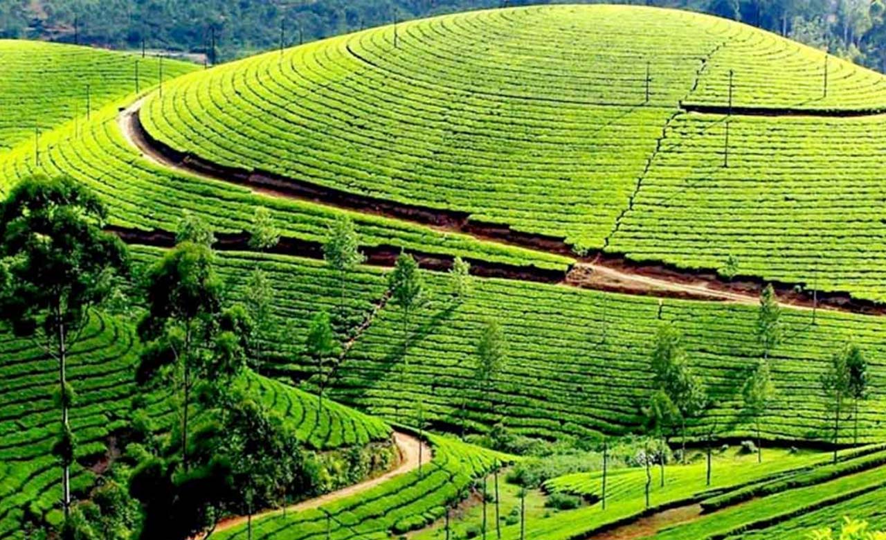 Best 3 star hotel in ooty