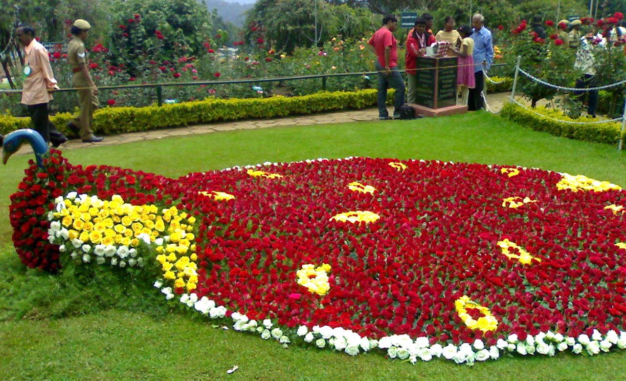 Best 3 star hotel in ooty